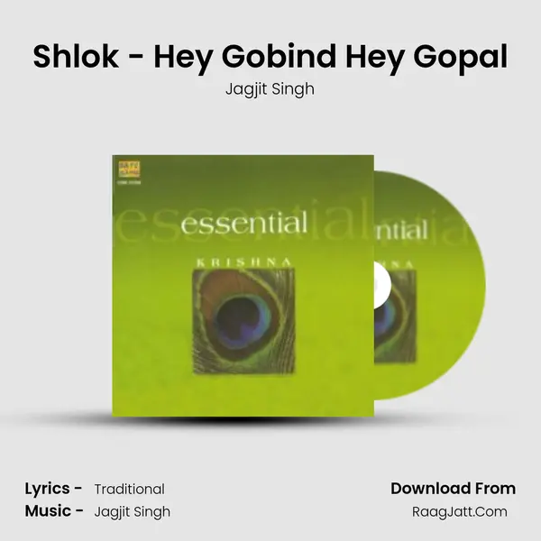Shlok - Hey Gobind Hey Gopal MP3 Song by Jagjit Singh Cover