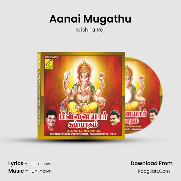 Aanai Mugathu MP3 Song by Krishna Raj Cover