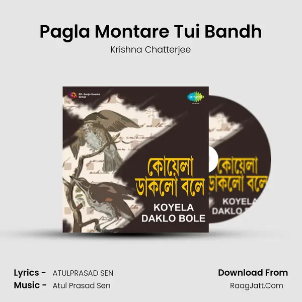 Pagla Montare Tui Bandh MP3 Song by Krishna Chatterjee Cover