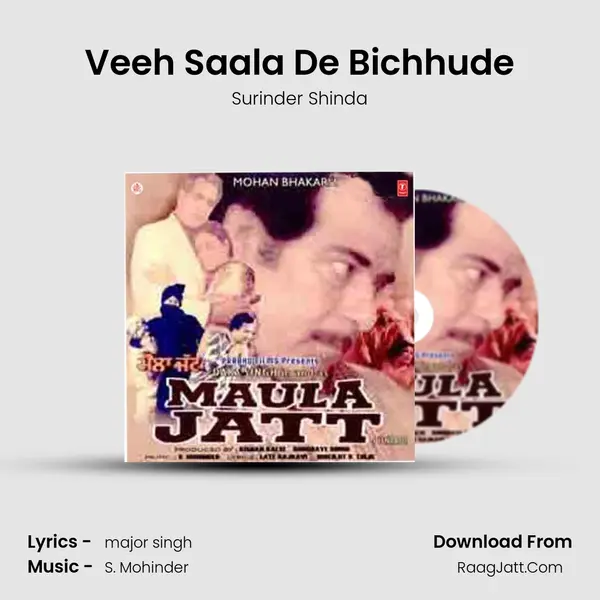 Veeh Saala De Bichhude mp3 song
