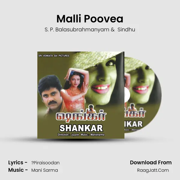 Malli Poovea MP3 Song by S. P. Balasubrahmanyam Cover