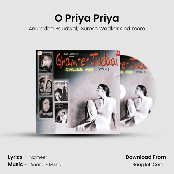 O Priya Priya MP3 Song by Anuradha Paudwal Cover