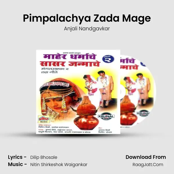 Pimpalachya Zada Mage MP3 Song by Anjali Nandgavkar Cover