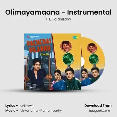 Olimayamaana - Instrumental MP3 Song by T. E. Palanisami Cover
