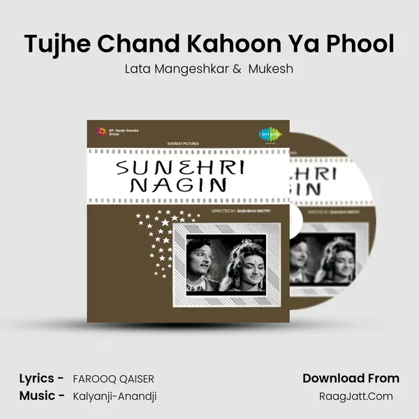 Tujhe Chand Kahoon Ya Phool MP3 Song by Lata Mangeshkar Cover