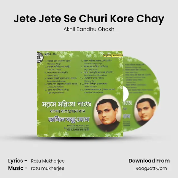 Jete Jete Se Churi Kore Chay Cover