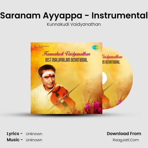 Saranam Ayyappa - Instrumental MP3 Song by Kunnakudi Vaidyanathan Cover