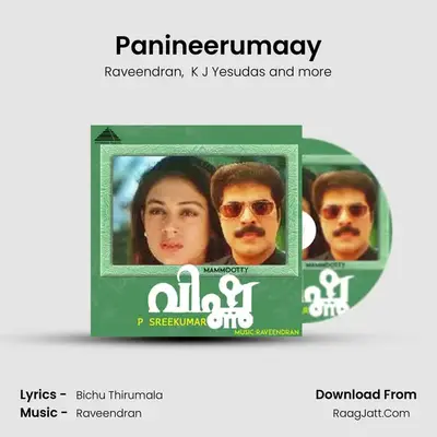 Panineerumaay MP3 Song by Raveendran Cover