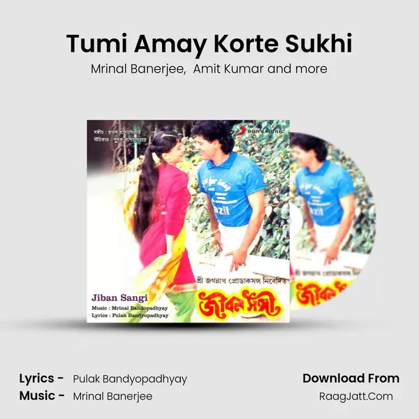 Tumi Amay Korte Sukhi MP3 Song by Mrinal Banerjee Cover
