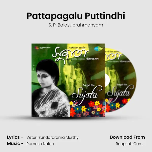 Pattapagalu Puttindhi MP3 Song by S. P. Balasubrahmanyam Cover