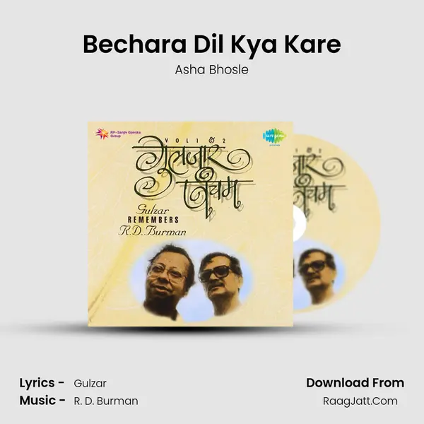 Bechara Dil Kya Kare Cover