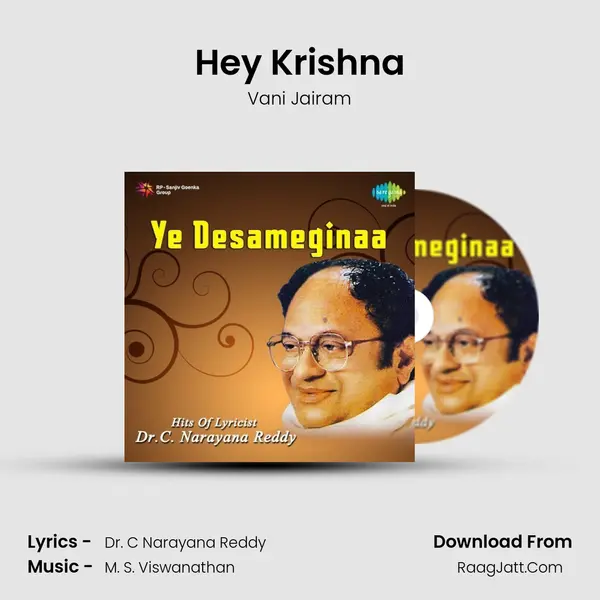 Hey Krishna Cover