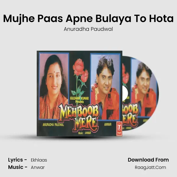 Mujhe Paas Apne Bulaya To Hota MP3 Song by Anuradha Paudwal Cover