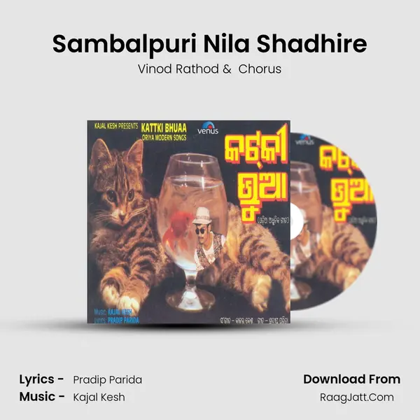 Sambalpuri Nila Shadhire MP3 Song by Vinod Rathod Cover