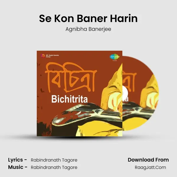 Se Kon Baner Harin mp3 song