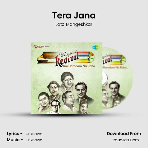 Tera Jana Cover