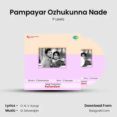 Pampayar Ozhukunna Nade MP3 Song by P Leela Cover