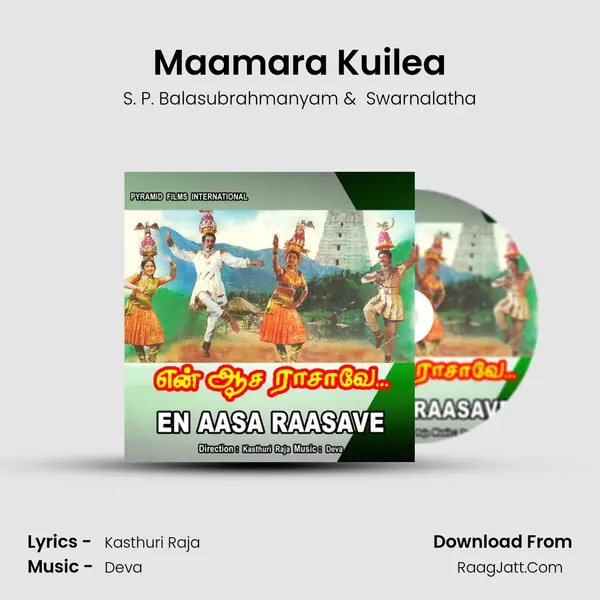 Maamara Kuilea MP3 Song by S. P. Balasubrahmanyam Cover
