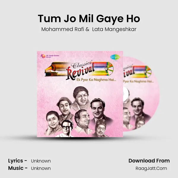 Tum Jo Mil Gaye Ho Cover