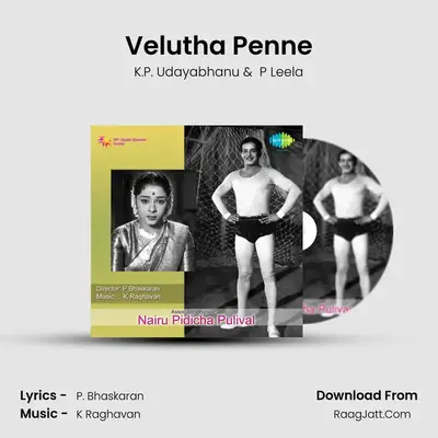 Velutha Penne MP3 Song by K.P. Udayabhanu Cover