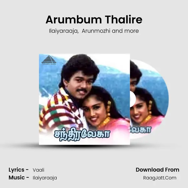 Arumbum Thalire MP3 Song by Ilaiyaraaja Cover