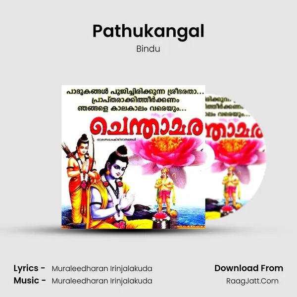 Pathukangal MP3 Song by Bindu Cover