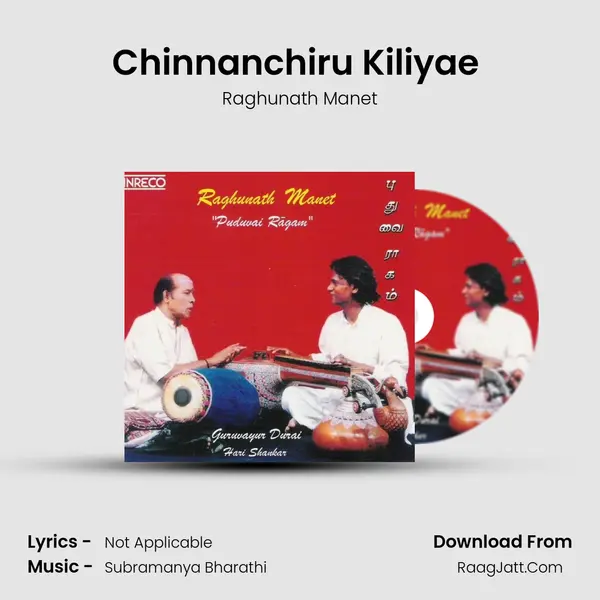 Chinnanchiru Kiliyae (Veena) MP3 Song by Raghunath Manet Cover