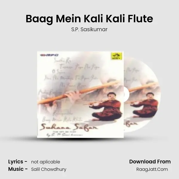 Baag Mein Kali Kali Flute mp3 song