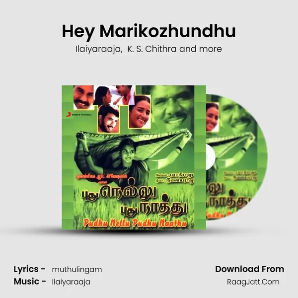 Hey Marikozhundhu MP3 Song by Ilaiyaraaja Cover