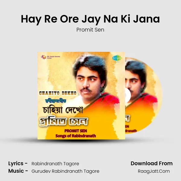 Hay Re Ore Jay Na Ki Jana MP3 Song by Promit Sen Cover