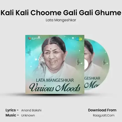 Kali Kali Choome Gali Gali Ghume MP3 Song by Lata Mangeshkar Cover