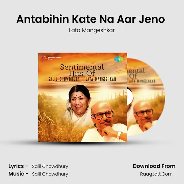 Antabihin Kate Na Aar Jeno (Baro Shunya Shunya) Cover