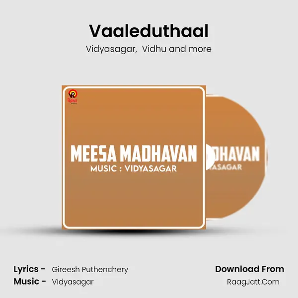 Vaaleduthaal MP3 Song by Vidyasagar Cover