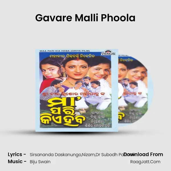 Gavare Malli Phoola MP3 Song by  Cover
