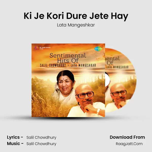 Ki Je Kori Dure Jete Hay Cover