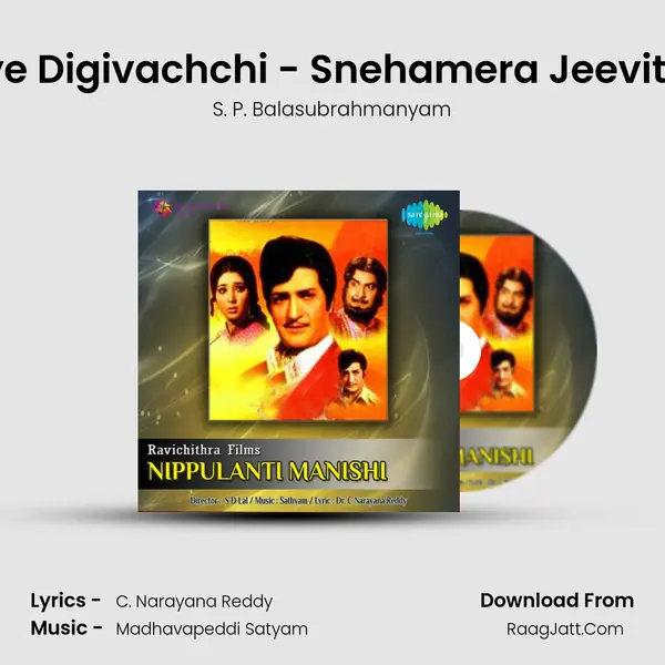 Allaye Digivachchi - Snehamera Jeevitham MP3 Song by S. P. Balasubrahmanyam Cover
