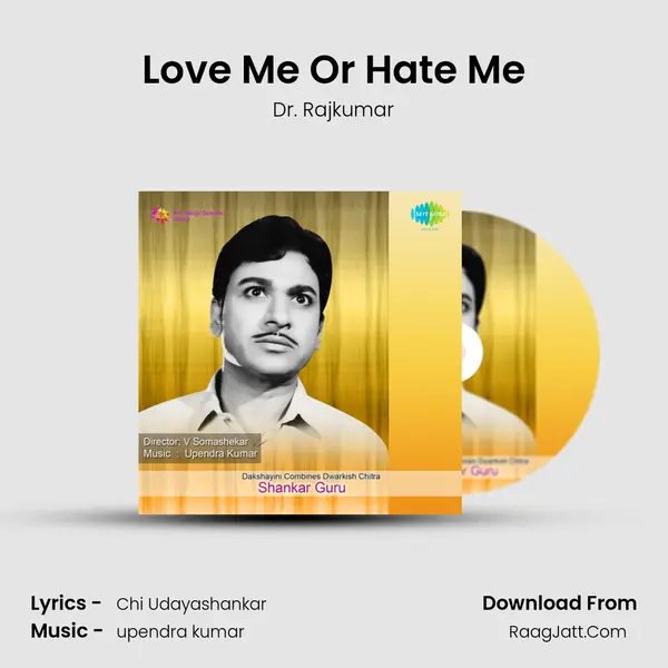 Love Me Or Hate Me Cover