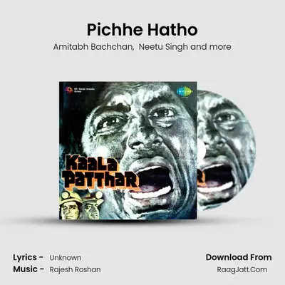 Pichhe Hatho MP3 Song by Amitabh Bachchan Cover
