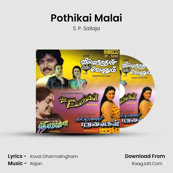 Pothikai Malai MP3 Song by S. P. Sailaja Cover