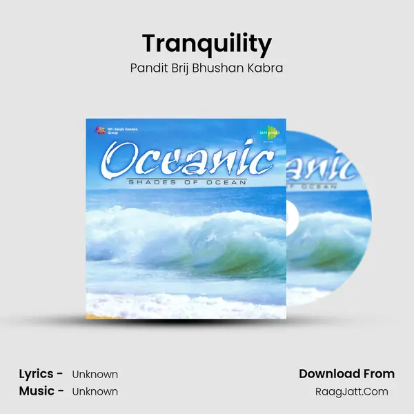 Tranquility MP3 Song by Pandit Brij Bhushan Kabra Cover