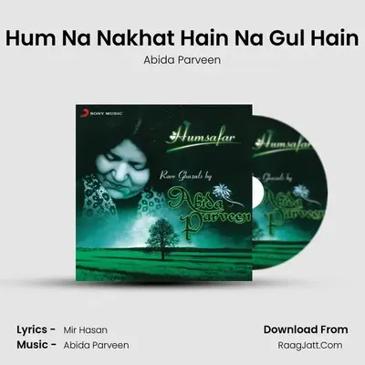 Hum Na Nakhat Hain Na Gul Hain MP3 Song by Abida Parveen Cover
