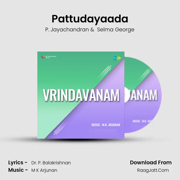 Pattudayaada mp3 song