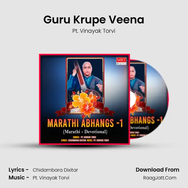 Guru Krupe Veena MP3 Song by Pt. Vinayak Torvi Cover
