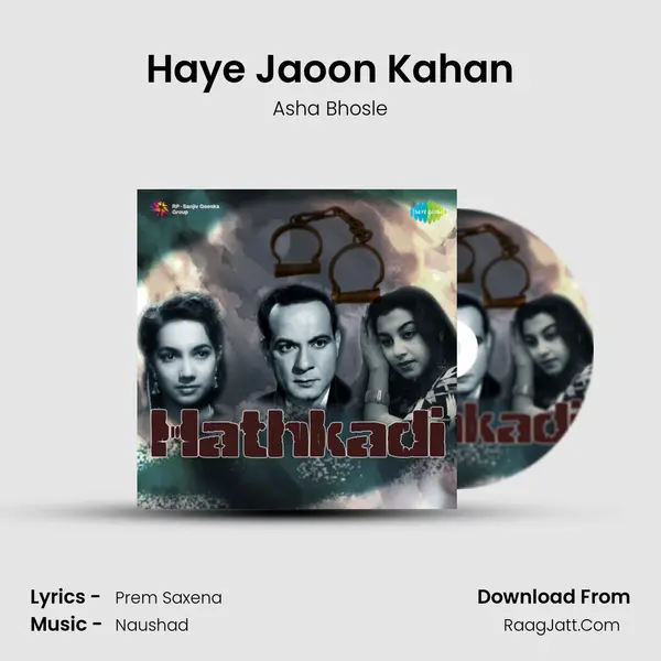 Haye Jaoon Kahan MP3 Song by Asha Bhosle Cover
