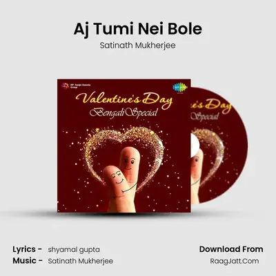 Aj Tumi Nei Bole MP3 Song by Satinath Mukherjee Cover