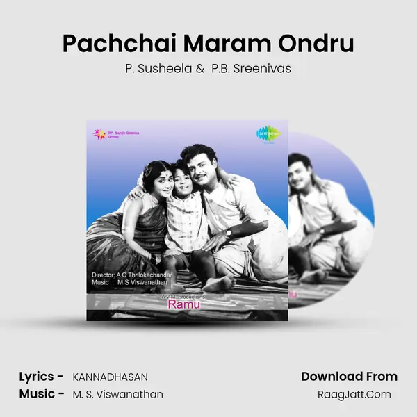 Pachchai Maram Ondru MP3 Song by P. Susheela Cover