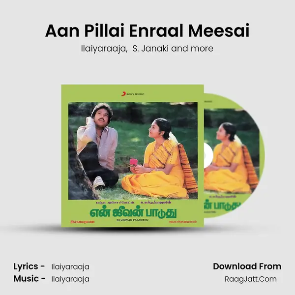 Aan Pillai Enraal Meesai MP3 Song by Ilaiyaraaja Cover