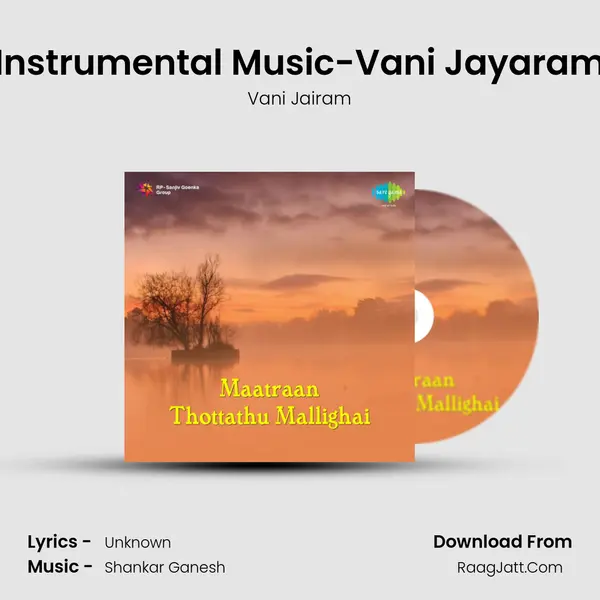 Instrumental Music-Vani Jayaram MP3 Song by Vani Jairam Cover