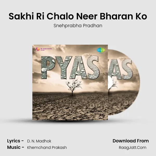 Sakhi Ri Chalo Neer Bharan Ko Cover