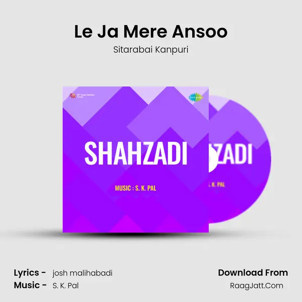 Le Ja Mere Ansoo mp3 song